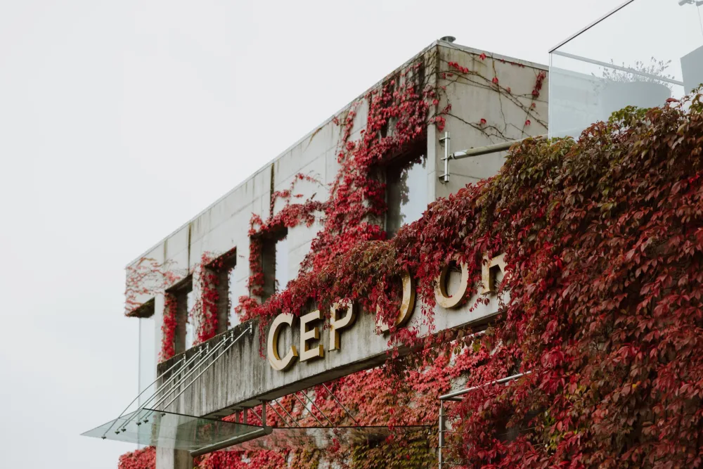 La portée mondiale du Cep d'Or : du Luxembourg à l'Europe et au Japon
